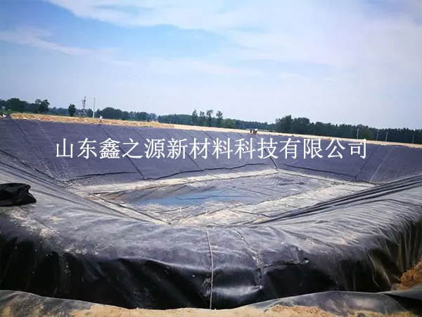 創(chuàng)新視角下的沼氣池防滲膜保護(hù)策略：綠色、高效與可持續(xù)