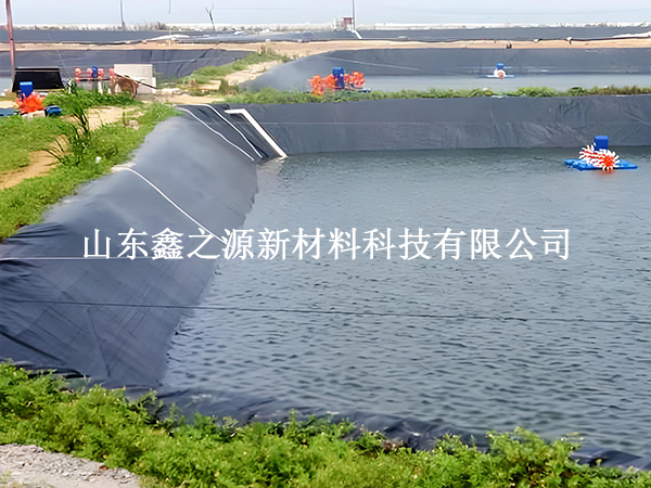 魚塘防滲膜存放技巧：輕松保鮮，以備不時之需